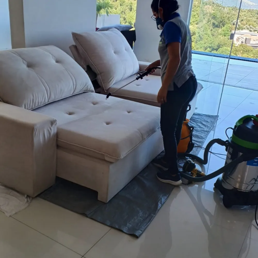 Com que Frequência Higienizar o Sofá e o Colchão?